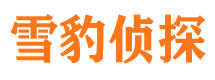 汇川市私家侦探